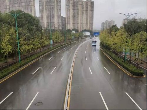 创建全国文明典范城市 扮靓雨花 颜值 为城市添绿增彩