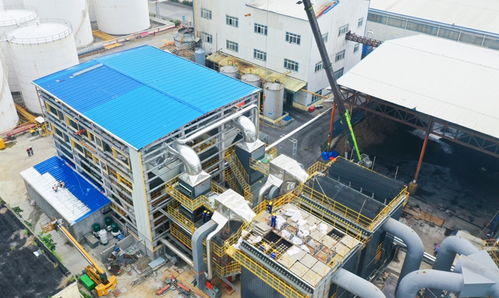 漳州开发区 中粮油脂福建工厂积极探索绿色转型与智能化生产之路