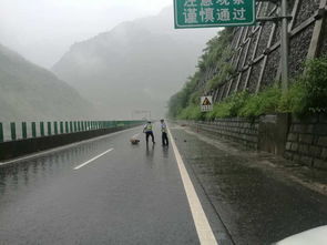 盐津告急 彝良告急 大关告急 昭通市遭受强降雨袭击,暴雨淹城...