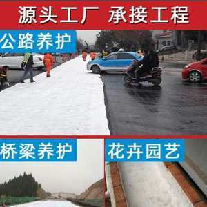 湿毡技术在公路与路面工程中的创新应用研究——基于近期1800组工程实践的实证分析